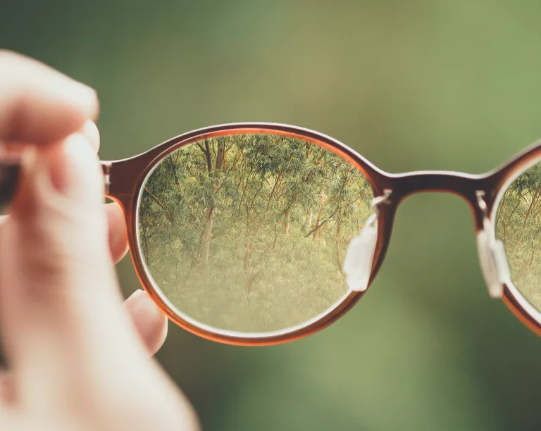 Les différents types de verre